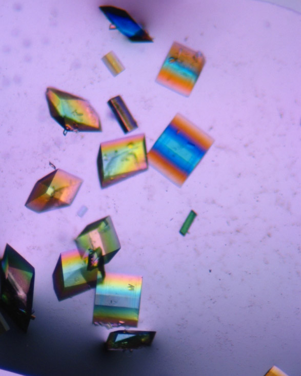Protein Crystals